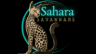 Sahara Savannahs